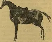 Конь под седлом С персидской миниатюры XV века Даже знакомые птицы как - фото 21