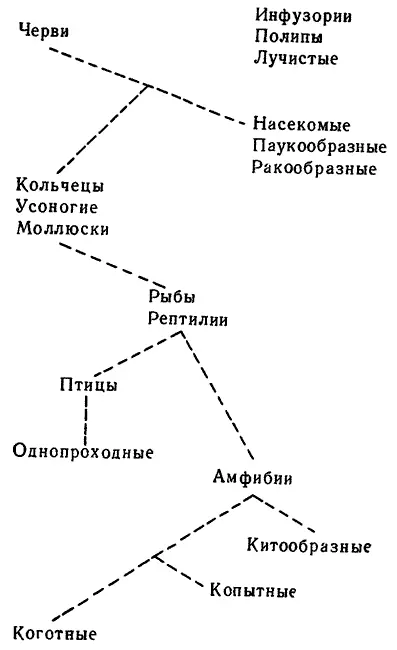 Система животных Ламарка 1809 Однако в эти годы Жоффруа СентИлер еще не - фото 45