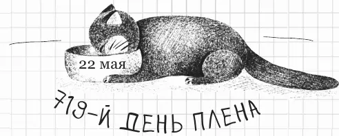 Этим утром я чувствую себя старой стиральной машиной Я елееле двигаю лапами - фото 90