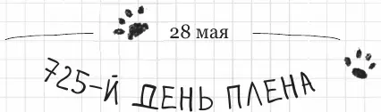 Почему только я должен просыпаться каждую ночь Месть конечно это блюдо - фото 91