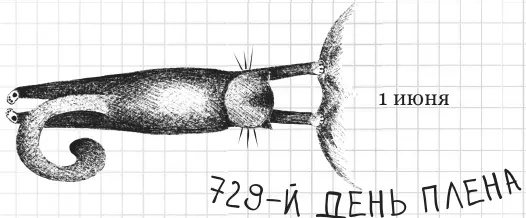 У вас есть документы У меня нет я без родословной Я беспаспортный Это - фото 93