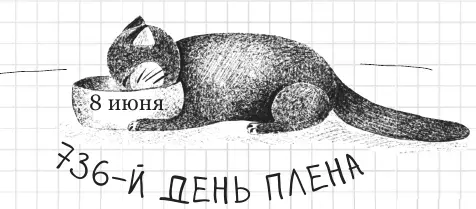 Котенок не трогай мою миску Марк покорми меня Патапуф к ноге Никому не - фото 95