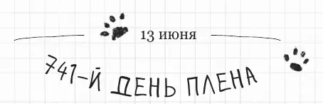 Малыш такой славный когда спит но если он просыпается то это совсем другая - фото 96