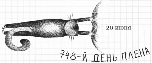 Нет я не двинусь с места Вам придется вызвать спецназ чтобы убрать меня - фото 100