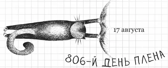 Текст Эй семья я здесь Посмотрите на меня я между малышом и котенком - фото 115