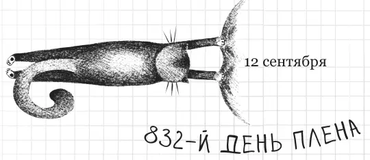 Дорогой дневник Настали тяжелые времена два прыщавых подростка решили - фото 120