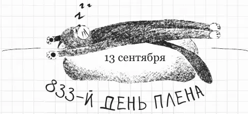 Я не сентиментальная личность но мысль что котенок скоро покинет этот дом - фото 121