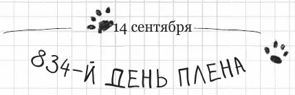 Изза всех этих событий у меня совершенно упало настроение я в депрессии Эй - фото 122