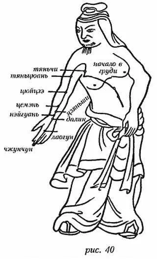 Наружный ход меридиана начинается в груди поднимается к точке тяньчи - фото 8