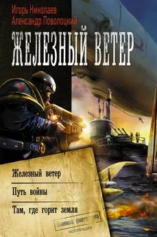 Игорь Николаев - Железный ветер. Путь войны. Там, где горит земля [сборник litres]