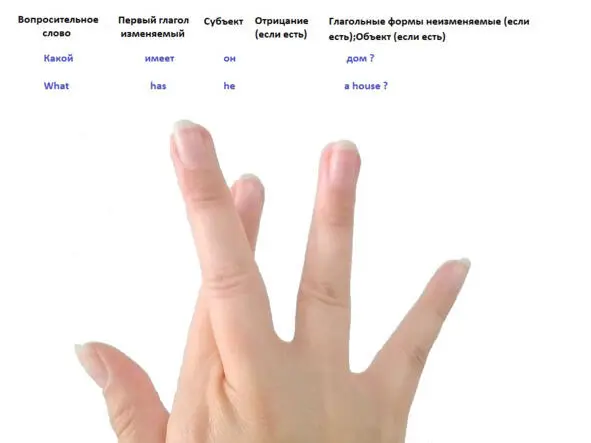 Вопросительное предложение со специальным словом типа где какой почему и - фото 92