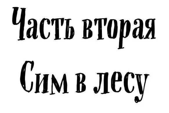 Глава 1 Впутешествие Воспоминания о первом незапланированном - фото 2