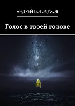 Андрей Богодухов - Голос в твоей голове