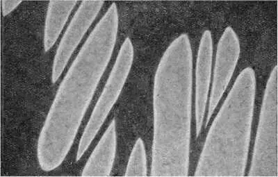 Структура каучука в электронном микроскопе Электронный микроскоп проникая в - фото 23