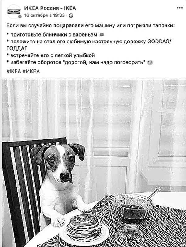Что не так с блинами и собачкой б вашу мать Признаю что конкретно эта - фото 37