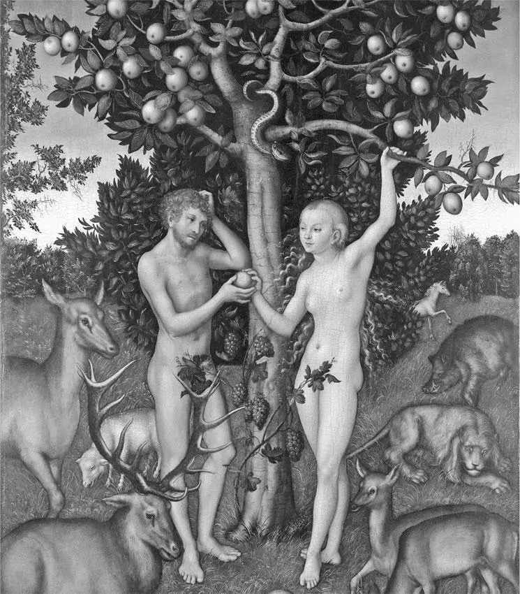 Адам и Ева Лукас Кранах Старший 1526 год Художественная галерея Института - фото 13