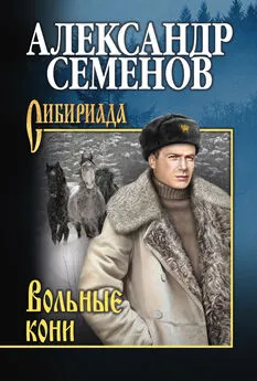 Александр Семенов - Вольные кони