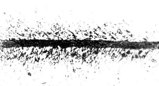 Рис 2 След тяжелой частицы с ответвлениями вторичных электронов После того - фото 7