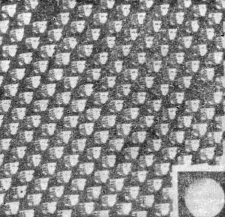 Рис 10 Линзы фотокамеры мушиный глаз Два года назад одна американская - фото 109