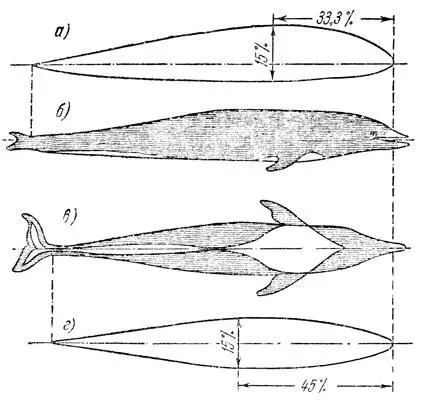 Рис 15 Быстроходный дельфин хорошо обтекаемой формы и близкие по контурам - фото 15