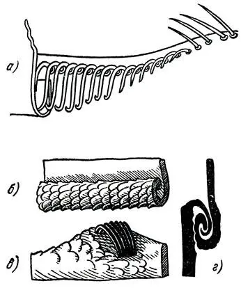 Рис 17 Механизмы сцепления крыльев у пчел а и у тлей 6 в г Рассмотрим - фото 17
