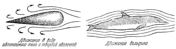 Рис 9 Движение в воде обтекаемого тела с твердой оболочкой и движение - фото 9