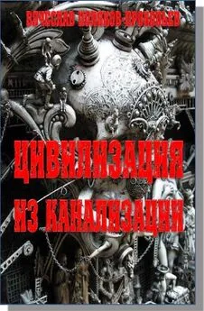 Вячеслав Поляков-Прокопьев - Цивилизация из канализации [СИ]