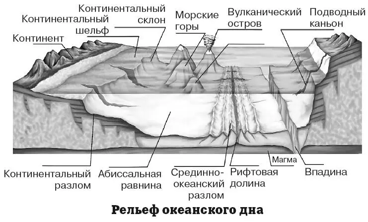 Острова являются подводными горами вершины которых поднимаются над водой - фото 58