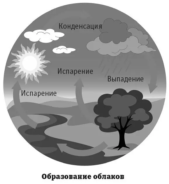 Перистые облака формируются на большой высоте в стратосфере Они состоят из - фото 98