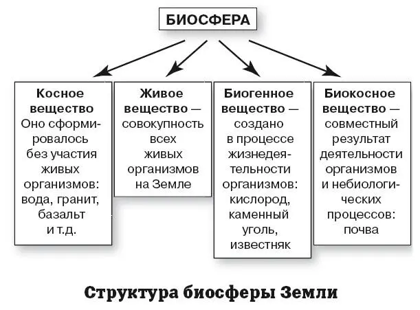 Почва как особое природное образование Почвой называется обладающий - фото 106