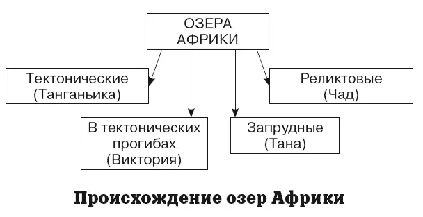 Большинство озер Африки находится в восточной части материка Их происхождение - фото 117