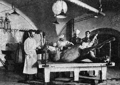 Рис 111 Вскрытие сотрудниками форта Александр I верблюда погибшего от - фото 11