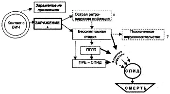 Рис 32 Исход контакта с ВИЧ Схема течения ВИЧинфекции стадия - фото 33