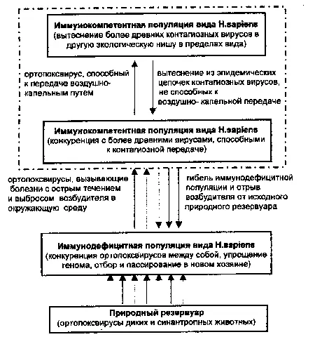 Рис 66 Схематическое изображение возможного механизма формирования узкой - фото 67