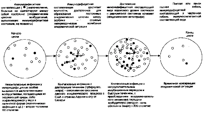 Рис 68 Схема глобального многовекового цикла быстрых и медленных инфекций По - фото 69