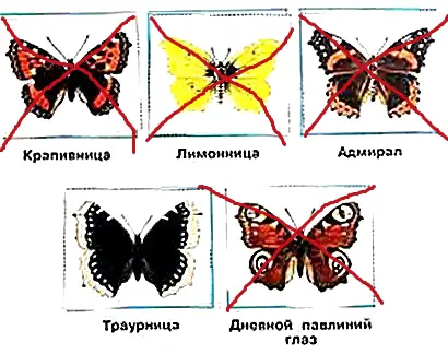 Иоганнес Конрад немецкий писатель ГДР Базенмайер и пришельцы Фантастический - фото 42