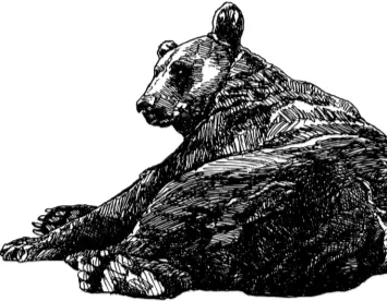 II Наконец выпал на землю Снег такой чистый такой белый что кругом - фото 74
