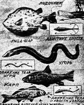 В настоящее время нет такой области техники куда не проникли бы новые идеи - фото 58