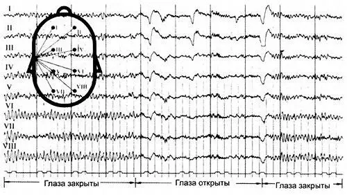 У человека также есть множество биологических часов ритмы которых регулируют - фото 111