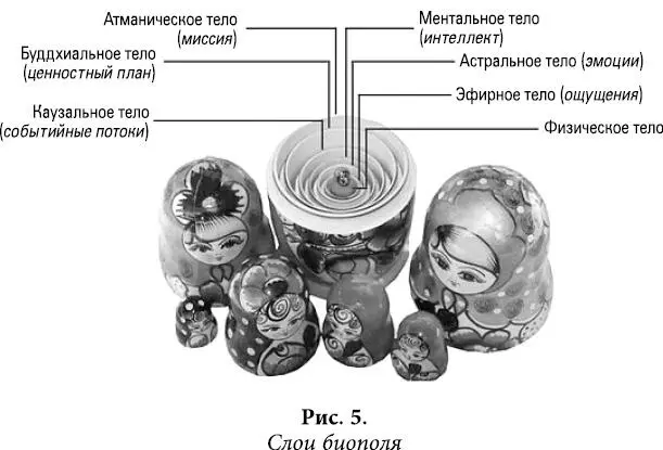 Это и есть слепок с натуры Мы же не удивляемся тому что все тела на Земле - фото 5