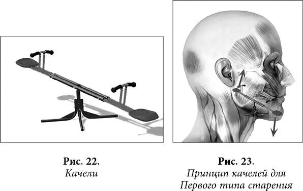 Качели проходят через естественные отверстия черепа Через область круговых - фото 18