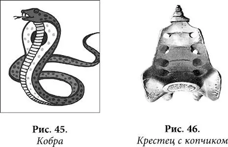 И конечно же Кундалини одна на всю жизнь и уходит она вместе с жизнью - фото 36