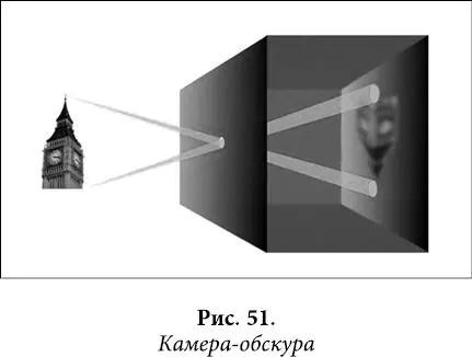 Глаз повторяет ту же систему В специальных клетках хроматофорах содержится - фото 41