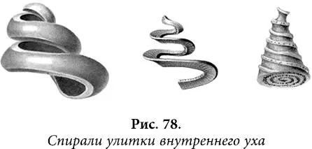 Возможно отсюда идет христианское предание заимствованное из шумерских - фото 65