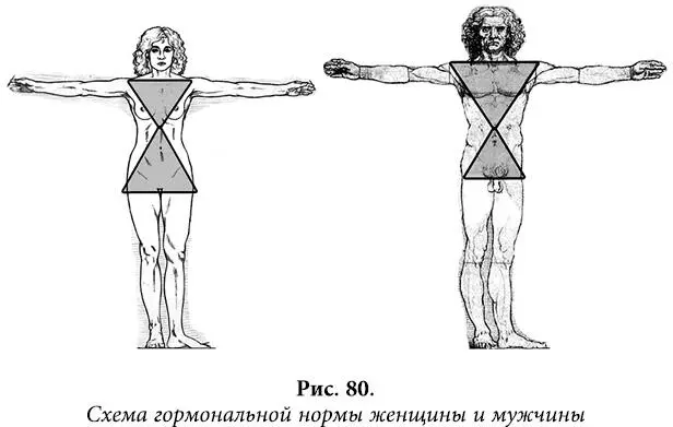 Более узкие костные формы меньший треугольник что у женщин что и у мужчин - фото 68