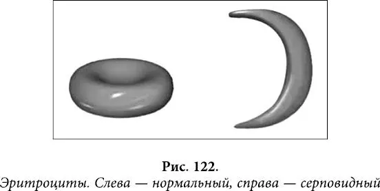 Понятно что они уже не являются здоровыми человеческими эритроцитами И все - фото 99