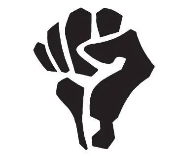 Попович и его друзья приступили к действиям осенью 1998 года когда они еще - фото 8