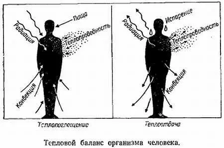 597 Какой участок мозга действует подобно термостатуЧеловеческий организм - фото 34
