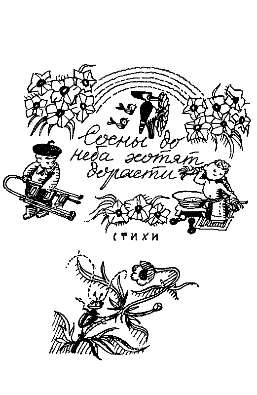 СОСНЫ ДО НЕБА ХОТЯТ ДОРАСТИ ДЕРЕВЬЯ Яблонька - фото 45