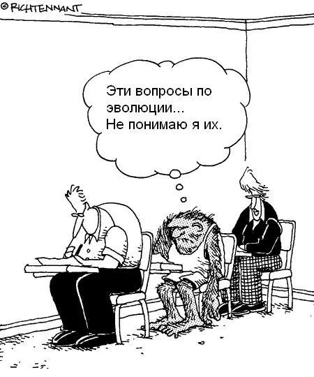 Чрезвычайно подробный перечень утверждений антиэволюционистов и весьма - фото 80